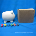 Pintar Set Pig Coin Bank, Niño de la pintura de bricolaje animales de cerámica